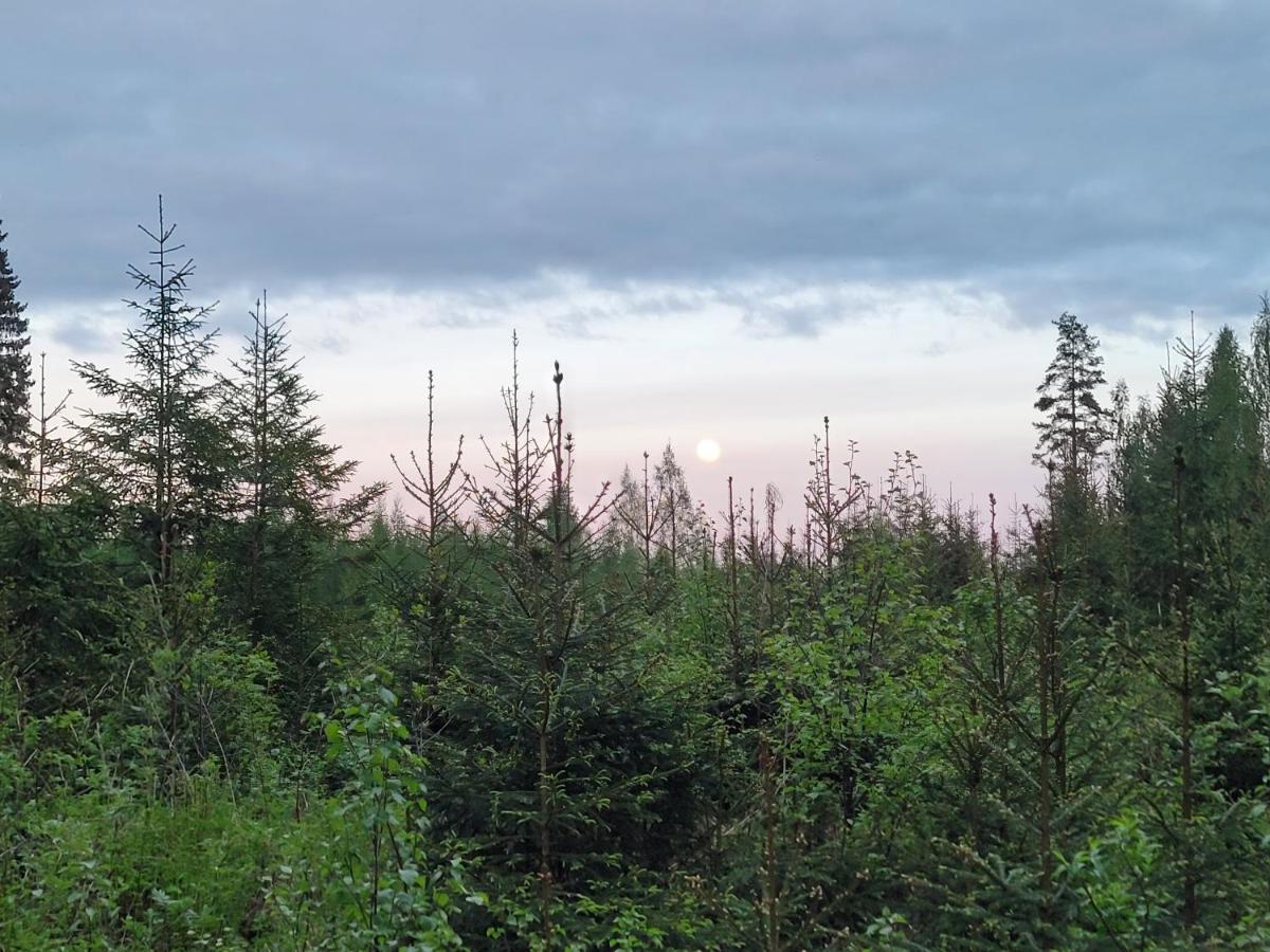 Vaelituvan Lomamoekit Punkaharju Exterior foto